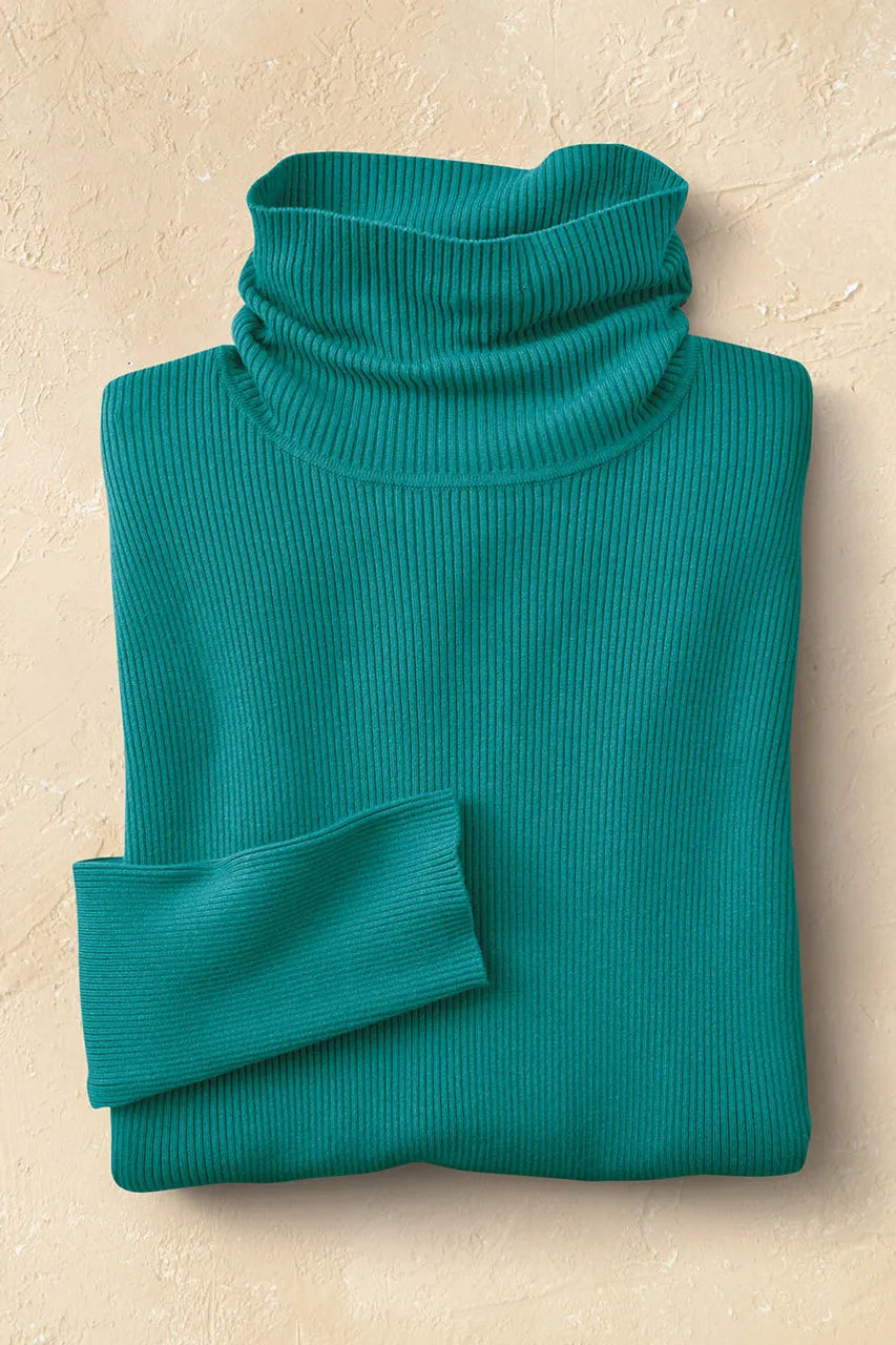Ribbed Turtleneck Sweater
