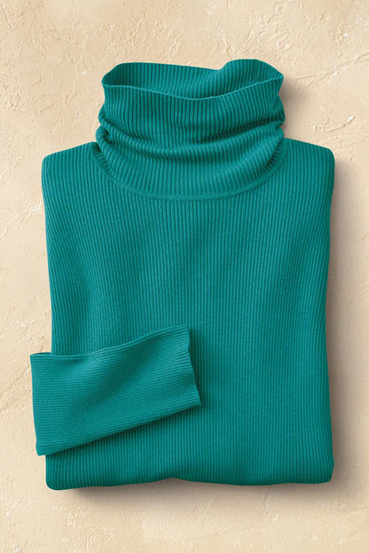 Ribbed Turtleneck Sweater