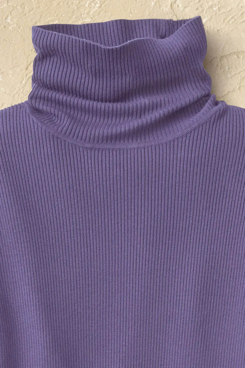 Ribbed Turtleneck Sweater