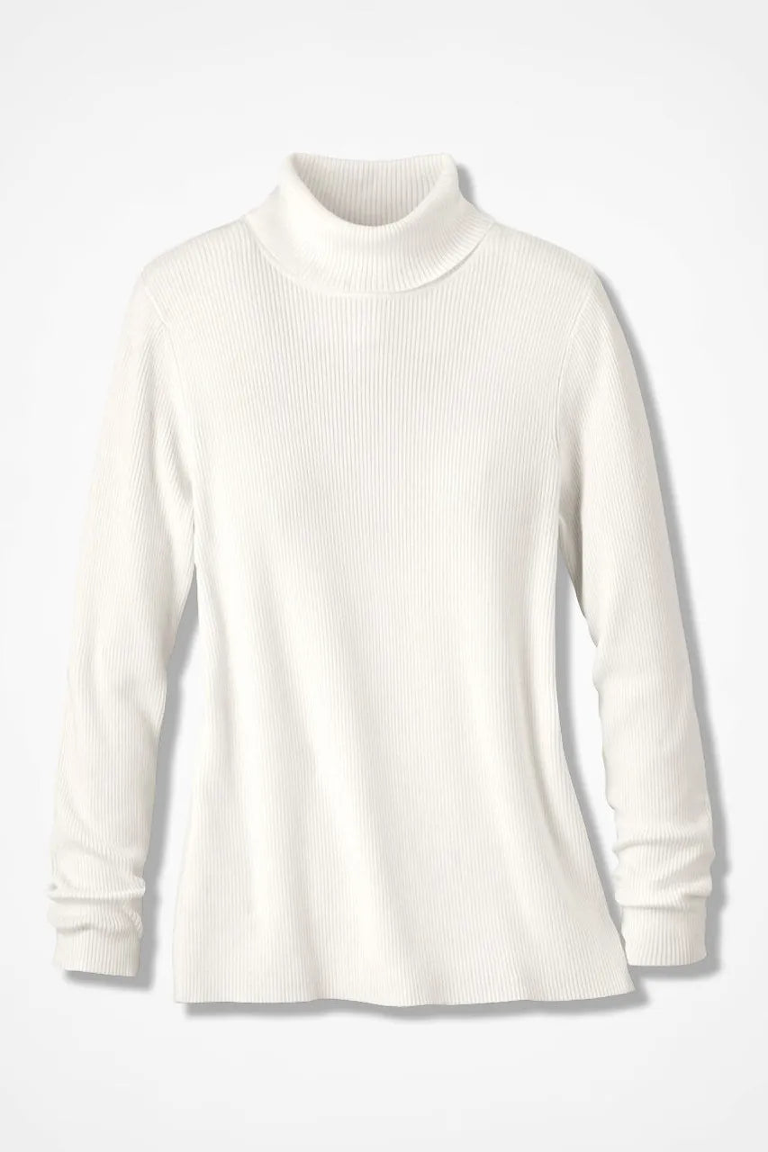 Ribbed Turtleneck Sweater