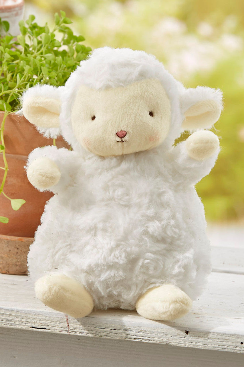 Kiddo the Lamb