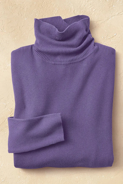 Ribbed Turtleneck Sweater