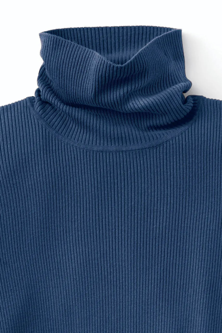 Ribbed Turtleneck Sweater