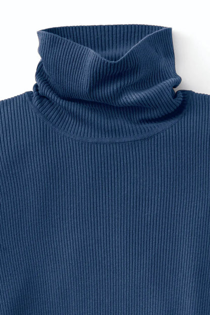 Ribbed Turtleneck Sweater